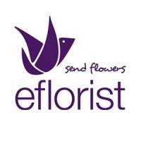 Eflorist Discount Codes