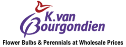 K. Van Bourgondien Coupons